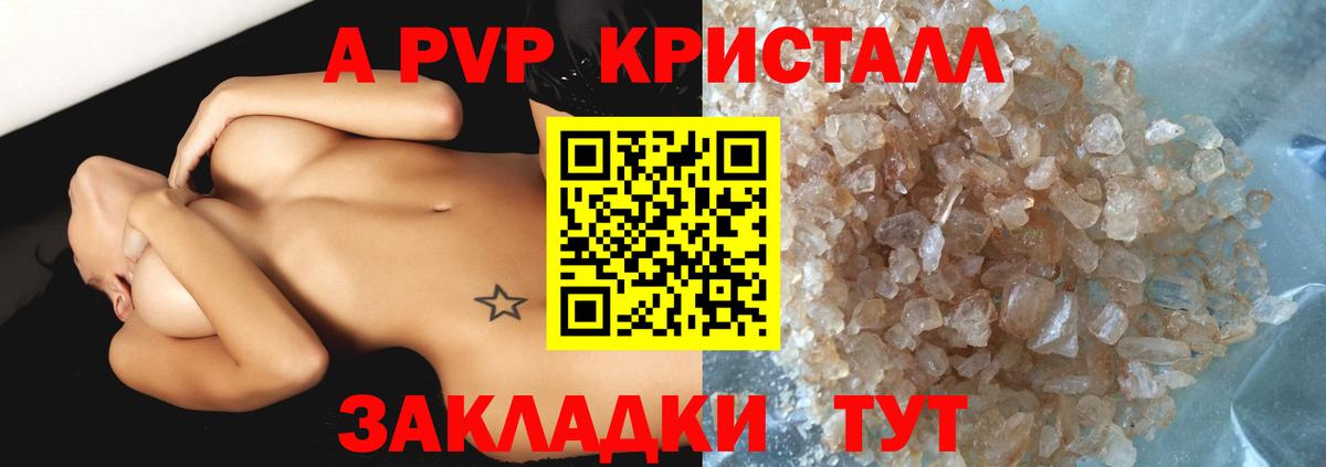 A PVP СК КРИС Бийск