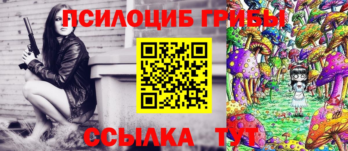 Псилоцибиновые грибы Psilocybine cubensis Бийск